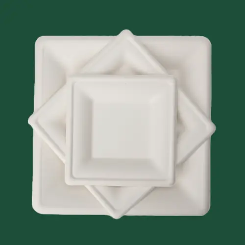Square Plates (6 inch)
